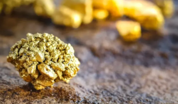 局部截取_20250219_141322